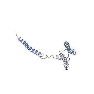 20200_6oua_H_v1-4
Cryo-EM structure of the yeast Ctf3 complex