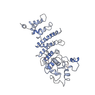 20200_6oua_I_v1-3
Cryo-EM structure of the yeast Ctf3 complex