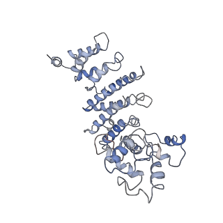 20200_6oua_I_v1-4
Cryo-EM structure of the yeast Ctf3 complex