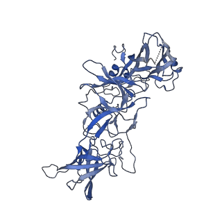 20202_6ouc_A_v2-1
Asymmetric focsued reconstruction of human norovirus GII.2 Snow Mountain Virus strain VLP asymmetric unit in T=1 symmetry