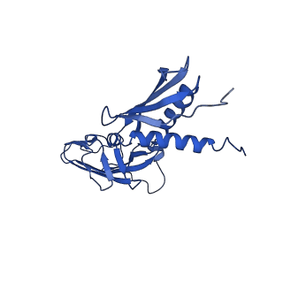 20203_6oul_G_v1-1
Cryo-EM structure of Escherichia coli RNAP polymerase bound to rpsTP2 promoter DNA