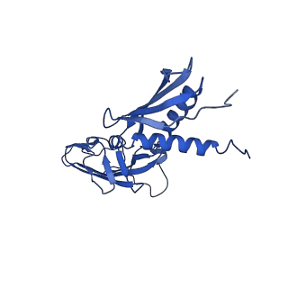 20203_6oul_G_v1-2
Cryo-EM structure of Escherichia coli RNAP polymerase bound to rpsTP2 promoter DNA