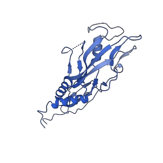 20203_6oul_H_v1-1
Cryo-EM structure of Escherichia coli RNAP polymerase bound to rpsTP2 promoter DNA