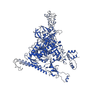 20203_6oul_I_v1-1
Cryo-EM structure of Escherichia coli RNAP polymerase bound to rpsTP2 promoter DNA