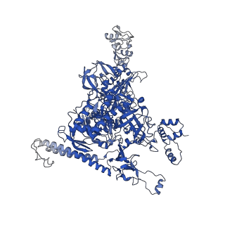 20203_6oul_I_v1-2
Cryo-EM structure of Escherichia coli RNAP polymerase bound to rpsTP2 promoter DNA