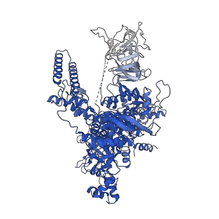 20203_6oul_J_v1-1
Cryo-EM structure of Escherichia coli RNAP polymerase bound to rpsTP2 promoter DNA