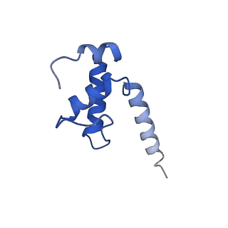 20203_6oul_K_v1-1
Cryo-EM structure of Escherichia coli RNAP polymerase bound to rpsTP2 promoter DNA