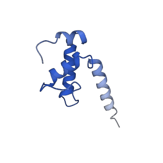 20203_6oul_K_v1-2
Cryo-EM structure of Escherichia coli RNAP polymerase bound to rpsTP2 promoter DNA