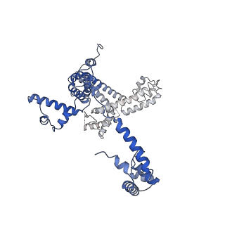 20203_6oul_L_v1-1
Cryo-EM structure of Escherichia coli RNAP polymerase bound to rpsTP2 promoter DNA