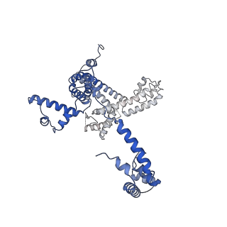 20203_6oul_L_v1-2
Cryo-EM structure of Escherichia coli RNAP polymerase bound to rpsTP2 promoter DNA