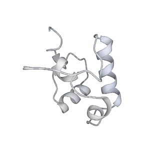 20203_6oul_R_v1-1
Cryo-EM structure of Escherichia coli RNAP polymerase bound to rpsTP2 promoter DNA