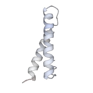 20204_6ouo_Y_v1-3
RF2 accommodated state bound 70S complex at long incubation time