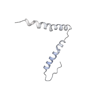 20204_6ouo_z_v1-3
RF2 accommodated state bound 70S complex at long incubation time