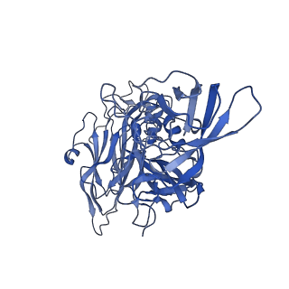 20205_6out_A_v2-1
Asymmetric focused reconstruction of human norovirus GI.1 Norwalk strain VLP asymmetric unit in T=3 symmetry