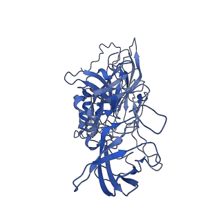 20205_6out_B_v2-1
Asymmetric focused reconstruction of human norovirus GI.1 Norwalk strain VLP asymmetric unit in T=3 symmetry