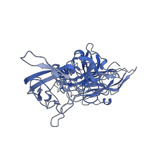 20205_6out_C_v2-1
Asymmetric focused reconstruction of human norovirus GI.1 Norwalk strain VLP asymmetric unit in T=3 symmetry