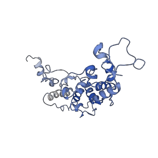 13083_7ovb_B_v1-2
L. pneumophila Type IV Coupling Complex (T4CC) with density for DotY N-terminal and middle domains