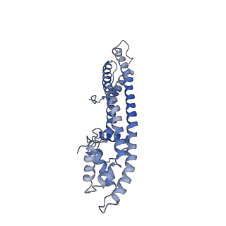 13083_7ovb_D_v1-2
L. pneumophila Type IV Coupling Complex (T4CC) with density for DotY N-terminal and middle domains