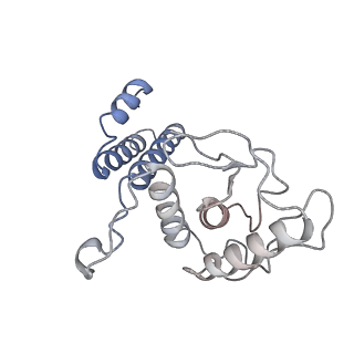 13083_7ovb_E_v1-2
L. pneumophila Type IV Coupling Complex (T4CC) with density for DotY N-terminal and middle domains