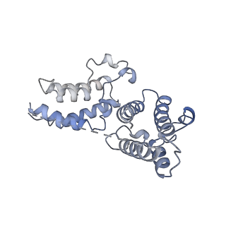 17172_8ov6_C_v1-5
Ternary structure of intramolecular bivalent glue degrader IBG1 bound to BRD4 and DCAF16:DDB1deltaBPB