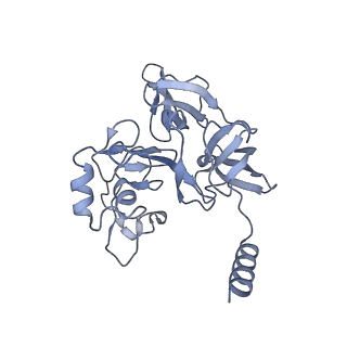 17212_8ove_A1_v1-0
CRYO-EM STRUCTURE OF TRYPANOSOMA BRUCEI PROCYCLIC FORM 80S RIBOSOME : TB11CS6H1 snoRNA mutant