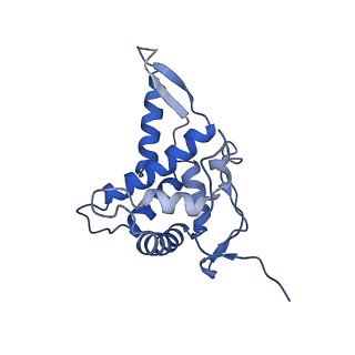 17212_8ove_A2_v1-0
CRYO-EM STRUCTURE OF TRYPANOSOMA BRUCEI PROCYCLIC FORM 80S RIBOSOME : TB11CS6H1 snoRNA mutant