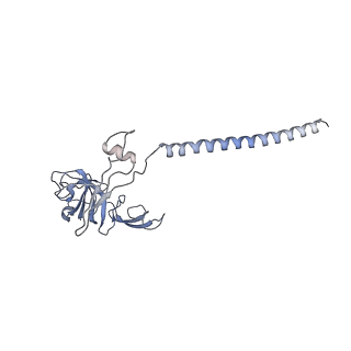17212_8ove_A3_v1-0
CRYO-EM STRUCTURE OF TRYPANOSOMA BRUCEI PROCYCLIC FORM 80S RIBOSOME : TB11CS6H1 snoRNA mutant