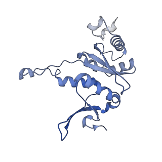17212_8ove_A4_v1-0
CRYO-EM STRUCTURE OF TRYPANOSOMA BRUCEI PROCYCLIC FORM 80S RIBOSOME : TB11CS6H1 snoRNA mutant