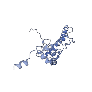 17212_8ove_A6_v1-0
CRYO-EM STRUCTURE OF TRYPANOSOMA BRUCEI PROCYCLIC FORM 80S RIBOSOME : TB11CS6H1 snoRNA mutant