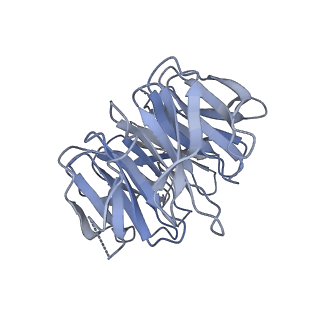 17212_8ove_A7_v1-0
CRYO-EM STRUCTURE OF TRYPANOSOMA BRUCEI PROCYCLIC FORM 80S RIBOSOME : TB11CS6H1 snoRNA mutant