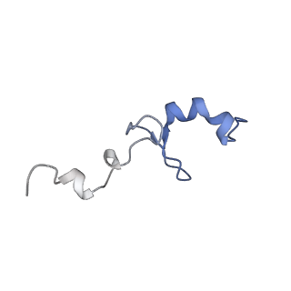 17212_8ove_A8_v1-0
CRYO-EM STRUCTURE OF TRYPANOSOMA BRUCEI PROCYCLIC FORM 80S RIBOSOME : TB11CS6H1 snoRNA mutant