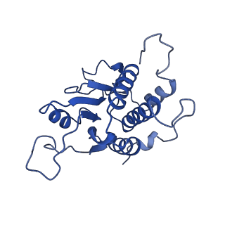 17212_8ove_AC_v1-0
CRYO-EM STRUCTURE OF TRYPANOSOMA BRUCEI PROCYCLIC FORM 80S RIBOSOME : TB11CS6H1 snoRNA mutant
