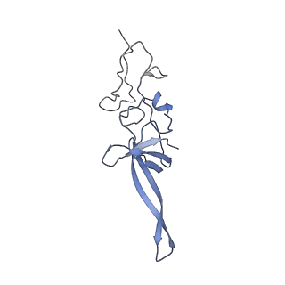 17212_8ove_AE_v1-0
CRYO-EM STRUCTURE OF TRYPANOSOMA BRUCEI PROCYCLIC FORM 80S RIBOSOME : TB11CS6H1 snoRNA mutant