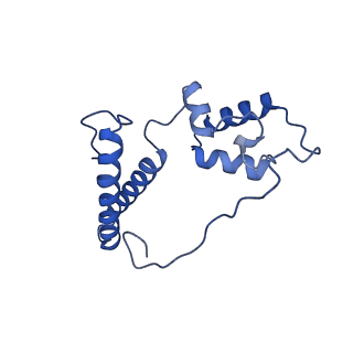 17212_8ove_AG_v1-0
CRYO-EM STRUCTURE OF TRYPANOSOMA BRUCEI PROCYCLIC FORM 80S RIBOSOME : TB11CS6H1 snoRNA mutant