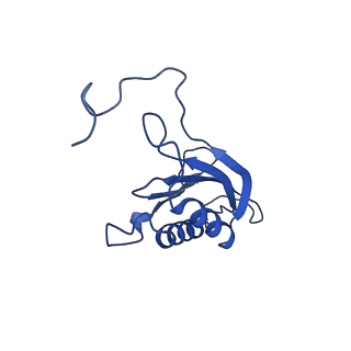 17212_8ove_AH_v1-0
CRYO-EM STRUCTURE OF TRYPANOSOMA BRUCEI PROCYCLIC FORM 80S RIBOSOME : TB11CS6H1 snoRNA mutant