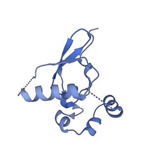 17212_8ove_AI_v1-0
CRYO-EM STRUCTURE OF TRYPANOSOMA BRUCEI PROCYCLIC FORM 80S RIBOSOME : TB11CS6H1 snoRNA mutant