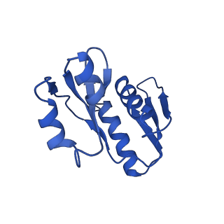 17212_8ove_AJ_v1-0
CRYO-EM STRUCTURE OF TRYPANOSOMA BRUCEI PROCYCLIC FORM 80S RIBOSOME : TB11CS6H1 snoRNA mutant