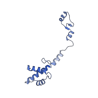 17212_8ove_AL_v1-0
CRYO-EM STRUCTURE OF TRYPANOSOMA BRUCEI PROCYCLIC FORM 80S RIBOSOME : TB11CS6H1 snoRNA mutant