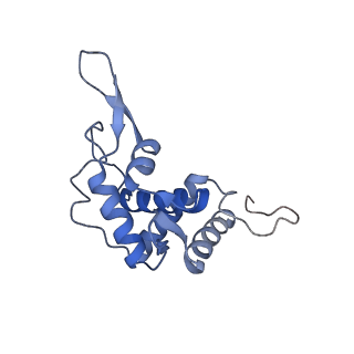 17212_8ove_AO_v1-0
CRYO-EM STRUCTURE OF TRYPANOSOMA BRUCEI PROCYCLIC FORM 80S RIBOSOME : TB11CS6H1 snoRNA mutant