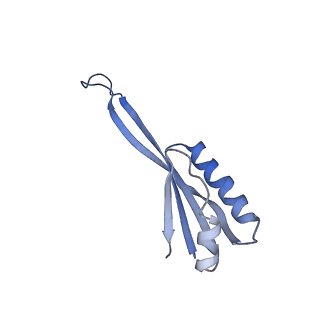 17212_8ove_AQ_v1-0
CRYO-EM STRUCTURE OF TRYPANOSOMA BRUCEI PROCYCLIC FORM 80S RIBOSOME : TB11CS6H1 snoRNA mutant