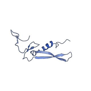17212_8ove_AR_v1-0
CRYO-EM STRUCTURE OF TRYPANOSOMA BRUCEI PROCYCLIC FORM 80S RIBOSOME : TB11CS6H1 snoRNA mutant