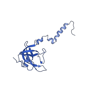17212_8ove_AS_v1-0
CRYO-EM STRUCTURE OF TRYPANOSOMA BRUCEI PROCYCLIC FORM 80S RIBOSOME : TB11CS6H1 snoRNA mutant