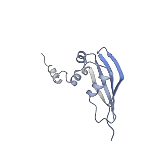 17212_8ove_AT_v1-0
CRYO-EM STRUCTURE OF TRYPANOSOMA BRUCEI PROCYCLIC FORM 80S RIBOSOME : TB11CS6H1 snoRNA mutant
