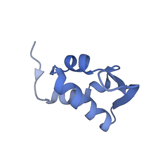 17212_8ove_AU_v1-0
CRYO-EM STRUCTURE OF TRYPANOSOMA BRUCEI PROCYCLIC FORM 80S RIBOSOME : TB11CS6H1 snoRNA mutant