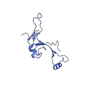 17212_8ove_AV_v1-0
CRYO-EM STRUCTURE OF TRYPANOSOMA BRUCEI PROCYCLIC FORM 80S RIBOSOME : TB11CS6H1 snoRNA mutant