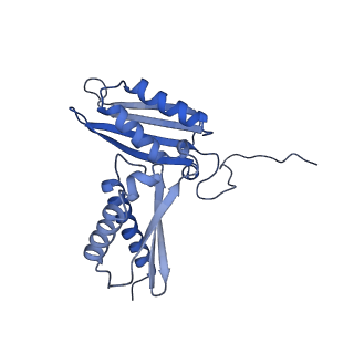 17212_8ove_AX_v1-0
CRYO-EM STRUCTURE OF TRYPANOSOMA BRUCEI PROCYCLIC FORM 80S RIBOSOME : TB11CS6H1 snoRNA mutant