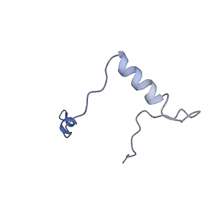 17212_8ove_AY_v1-0
CRYO-EM STRUCTURE OF TRYPANOSOMA BRUCEI PROCYCLIC FORM 80S RIBOSOME : TB11CS6H1 snoRNA mutant