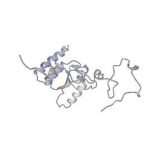 17212_8ove_BI_v1-0
CRYO-EM STRUCTURE OF TRYPANOSOMA BRUCEI PROCYCLIC FORM 80S RIBOSOME : TB11CS6H1 snoRNA mutant