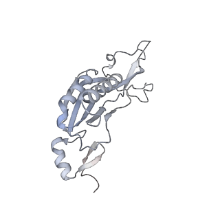 17212_8ove_BK_v1-0
CRYO-EM STRUCTURE OF TRYPANOSOMA BRUCEI PROCYCLIC FORM 80S RIBOSOME : TB11CS6H1 snoRNA mutant