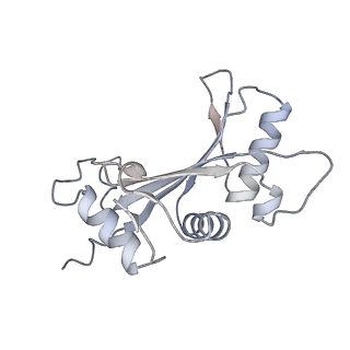 17212_8ove_BL_v1-0
CRYO-EM STRUCTURE OF TRYPANOSOMA BRUCEI PROCYCLIC FORM 80S RIBOSOME : TB11CS6H1 snoRNA mutant